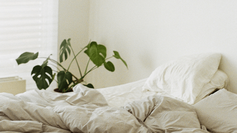 an unmade bed with white sheets and a plant